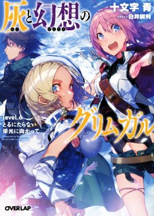 灰と幻想のグリムガル level.6 とるにたらない栄光に向かって (オーバーラップ文庫) [Oct 22， 2015] 十文字青; 白井鋭利