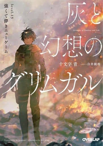 灰と幻想のグリムガル level.15 強くて儚きニューゲーム (オーバーラップ文庫) 十文字青; 白井鋭利