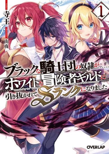 ブラックな騎士団の奴隷がホワイトな冒険者ギルドに引き抜かれてSランクになりました 1 (オーバーラップ文庫) 寺王; 由夜