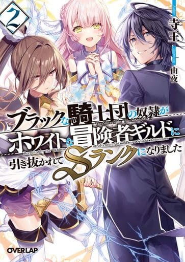 ブラックな騎士団の奴隷がホワイトな冒険者ギルドに引き抜かれてSランクになりました 2 (オーバーラップ文庫) 寺王; 由夜