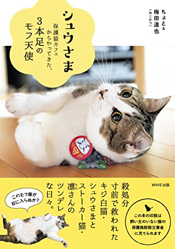 シュウさま-保護猫カフェからやってきた3本足のモフ天使- ちょと 梅田 達也; 卵山 玉子