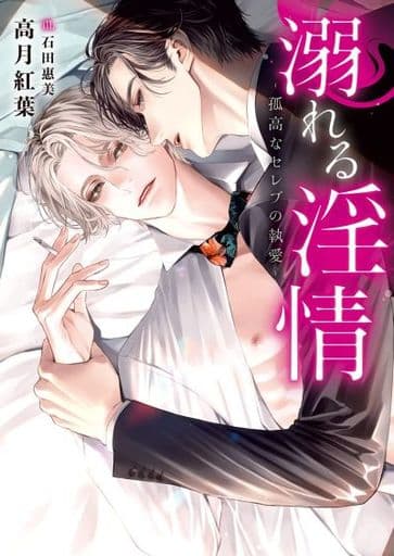 溺れる淫情 ‐孤高なセレブの執愛‐ (ダリア文庫) [文庫] 高月 紅葉; 石田 惠美