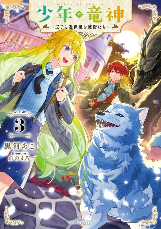 少年と竜神 ～王子と過保護な護衛たち～ ３ (GCノベルズ) [単行本（ソフトカバー）] 黒河あこ; ののまろ