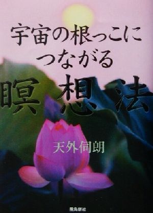 宇宙の根っこにつながる瞑想法 天外 伺朗