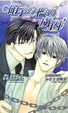 硝子の檻の虜囚 (アズ・ノベルズ) (AZ NOVELS) 森住 凪; みささぎ 楓李