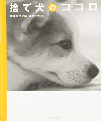 捨て犬のココロ 藤本 雅秋; 坂崎 千春