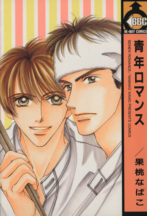 青年ロマンス (ビーボーイコミックス) [May 01， 1999] 果桃 なばこ