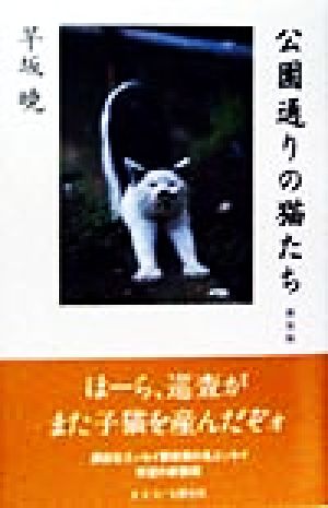 公園通りの猫たち 新装版 早坂 暁