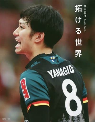 拓ける世界 柳田将洋: 日本文化出版ムック (NBPムツク) [Apr 18， 2018] 柳田 将洋