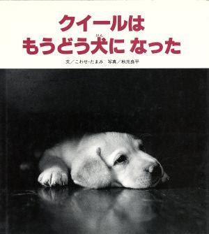 クイールはもうどう犬になった (ひさかた絵本ランド) [大型本] [May 01， 1992] こわせ たまみ