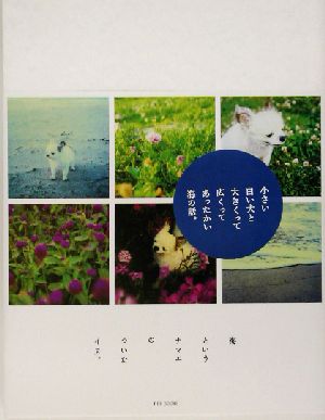 海というナマエのついたイヌ。 [Dec 01， 2002] 小山 奈々子
