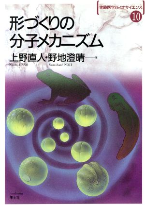 形づくりの分子メカニズム (実験医学バイオサイエンス 10) 上野 直人; 野地 澄晴