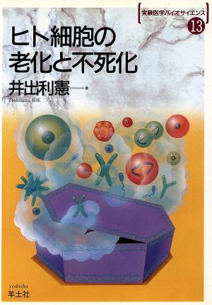 (バ13)ヒト細胞の老化と不死化