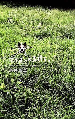 ブイヨンの気持ち。 (ほぼ日ブックス) [単行本] [Apr 13， 2009] 糸井重里 ほぼ日刊イトイ新聞; 長野ともこ