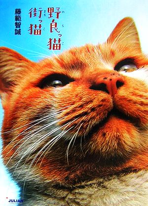 野良っ猫街っ猫 藤範 智誠