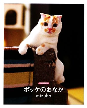 ポッケのおなか: ブログBOOK [単行本] mizuha