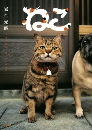 ねこ [Nov 10， 2014] 岩合 光昭