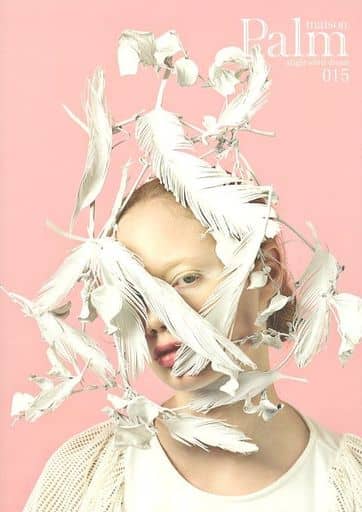 Palm maison 015 [雑誌] [Jan 01， 2016] ㈱ファブルゼィール