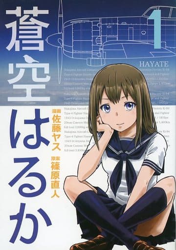 蒼空はるか 1 佐藤 ヤス