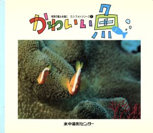 かわいい魚 (地球の藍よ永遠に ミニ・フォトシリーズ 1) [Aug 01， 1992] 舘石 昭
