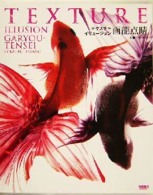 テクスチャイリュージョン画龍点睛 (CG WORLD SPECIAL BOOK) [Dec 01， 2003] 早野 海兵