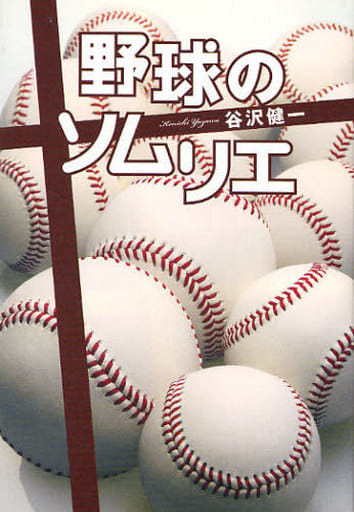 野球のソムリエ 谷沢 健一