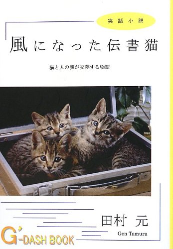 風になった伝書猫