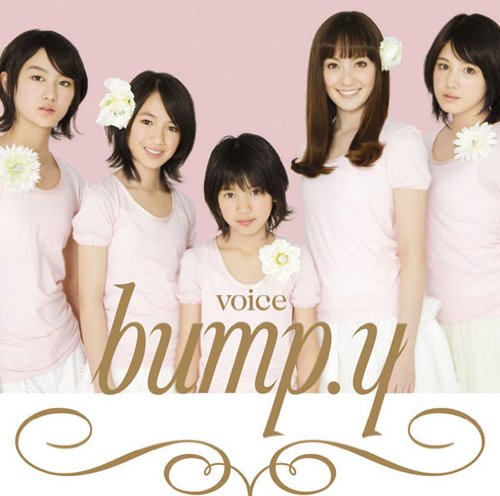 voice [CD] bump.y