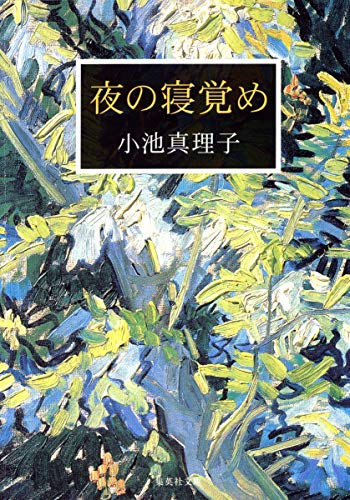 夜の寝覚め (集英社文庫) 小池 真理子