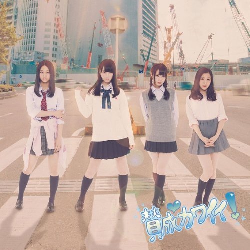 賛成カワイイ! (CD+DVD) (Type-B) (初回盤) [CD] SKE48