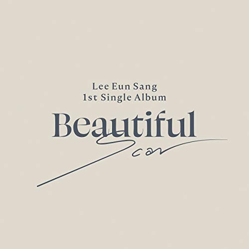 Beautiful Scar(輸入盤) [CD] LEE EUN SANG (X1)